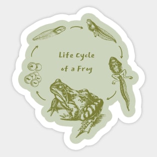 The Metamorphic Journey of Frogs: A Vintage Goblincore Display for Science Teachers Sticker